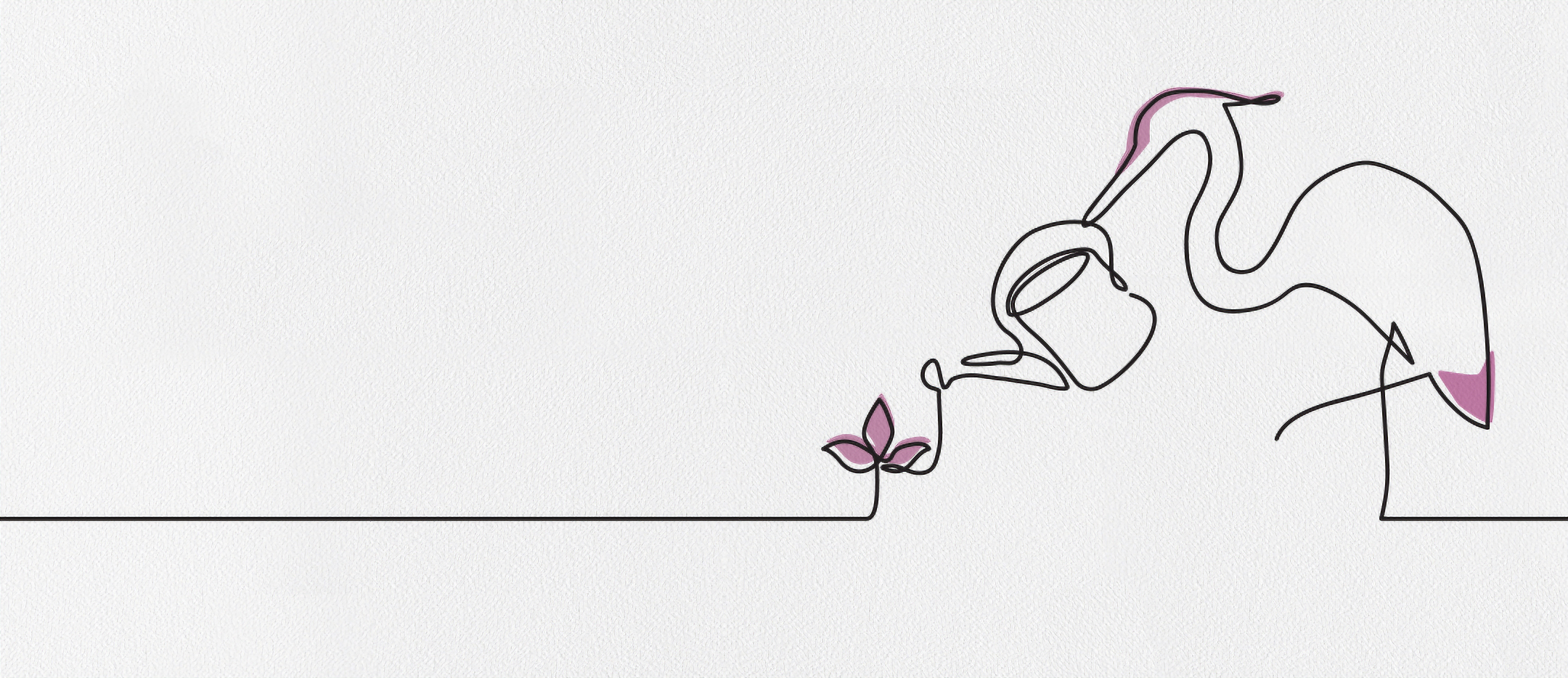 Heron watering seedlings